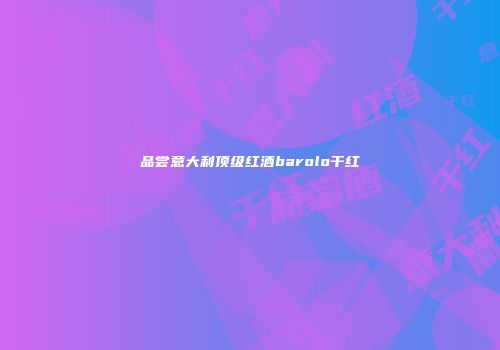 品尝意大利顶级红酒barolo干红