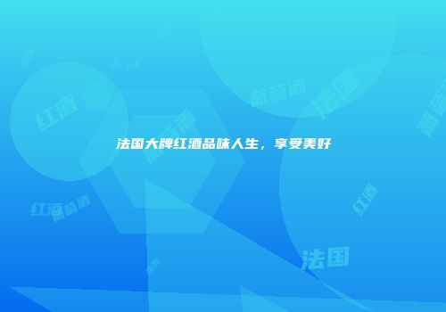 法国大牌红酒品味人生，享受美好