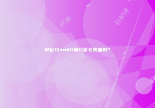 轩尼诗xo40度1l怎么喝最好？