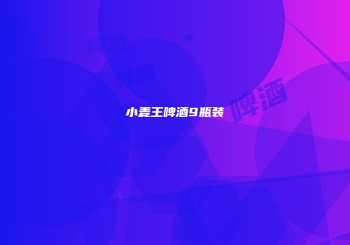 小麦王啤酒9瓶装