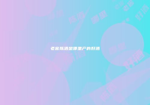 老窖陈酒是哪里产的好酒