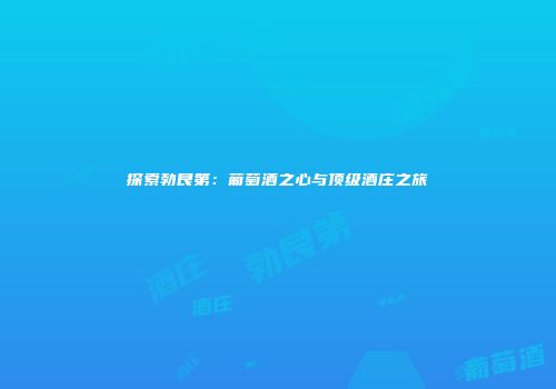 探索勃艮第：葡萄酒之心与顶级酒庄之旅