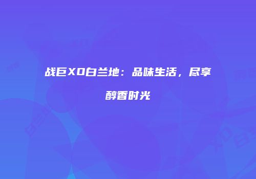 战巨XO白兰地：品味生活，尽享醇香时光