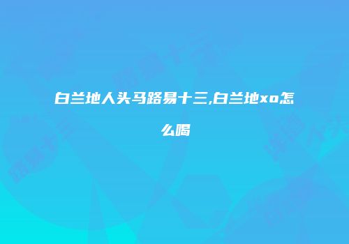 白兰地人头马路易十三,白兰地xo怎么喝