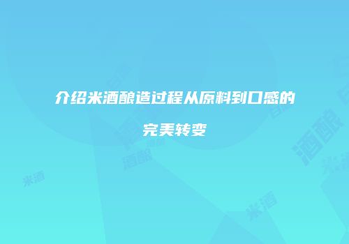介绍米酒酿造过程从原料到口感的完美转变
