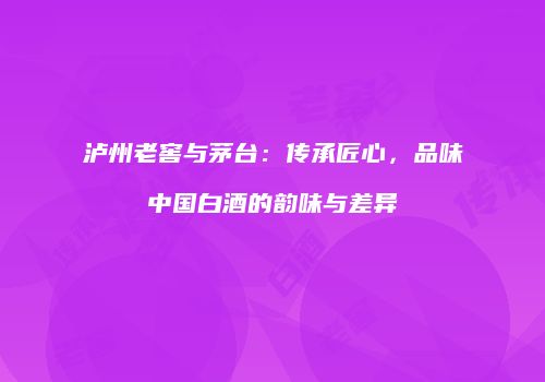 泸州老窖与茅台：传承匠心，品味中国白酒的韵味与差异