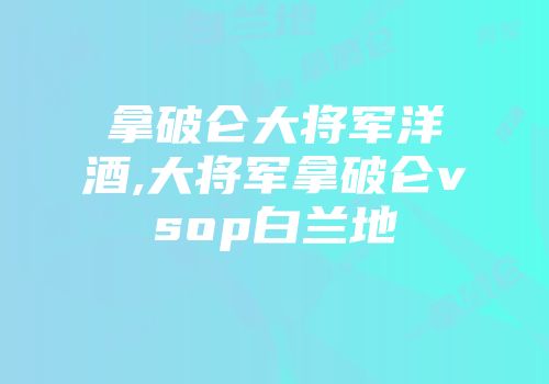 拿破仑大将军洋酒,大将军拿破仑vsop白兰地
