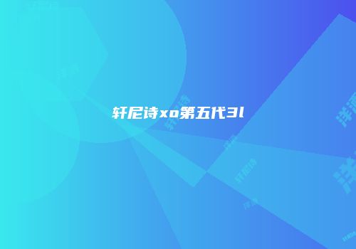 轩尼诗xo第五代3l
