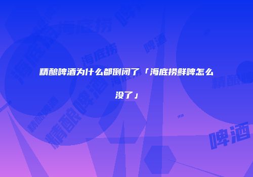 精酿啤酒为什么都倒闭了「海底捞鲜啤怎么没了」