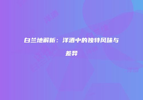 白兰地解析：洋酒中的独特风味与差异