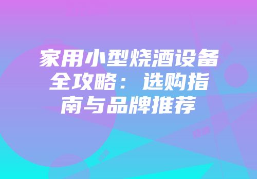 家用小型烧酒设备全攻略：选购指南与品牌推荐