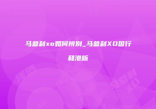 马爹利xo如何辨别_马爹利XO国行和港版
