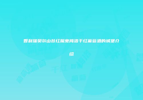 智利瑞贝尔山谷红魔鬼梅洛干红葡萄酒的城堡介绍