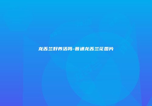 龙舌兰好养活吗-普通龙舌兰花图片