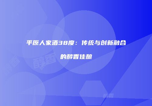 平原人家酒38度：传统与创新融合的醇香佳酿