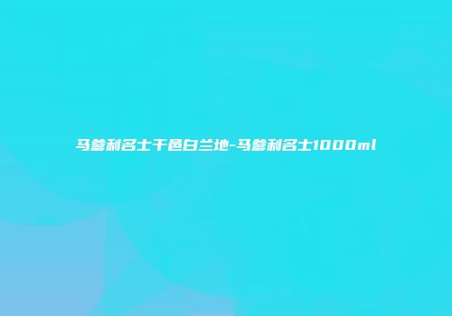 马爹利名士干邑白兰地-马爹利名士1000ml