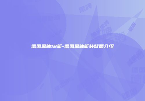 德国黑啤12听-德国黑啤听装背面介绍