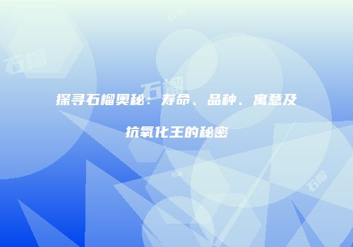 探寻石榴奥秘：寿命、品种、寓意及抗氧化王的秘密