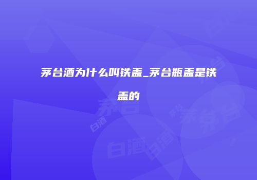 茅台酒为什么叫铁盖_茅台瓶盖是铁盖的