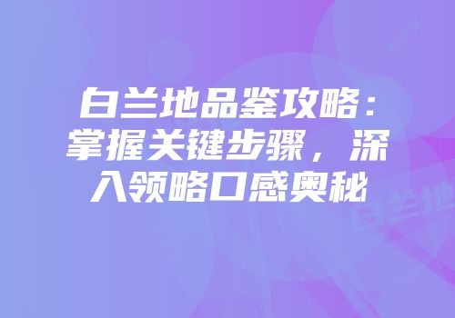 白兰地品鉴攻略：掌握关键步骤，深入领略口感奥秘