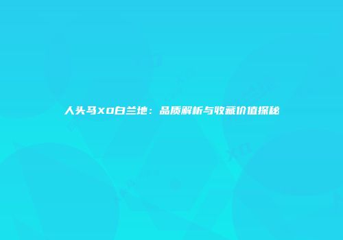 人头马XO白兰地：品质解析与收藏价值探秘