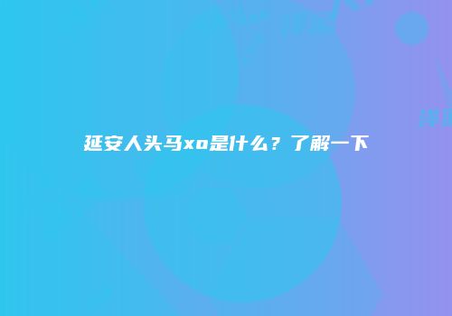 延安人头马xo是什么？了解一下