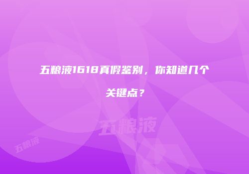 五粮液1618真假鉴别，你知道几个关键点？