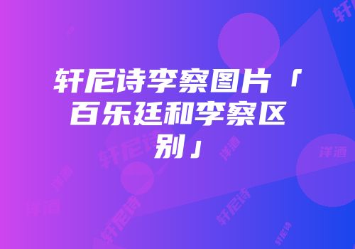 轩尼诗李察图片「百乐廷和李察区别」