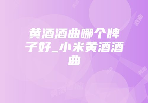 黄酒酒曲哪个牌子好_小米黄酒酒曲