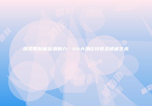 探索智利葡萄酒魅力：50大酒庄特色及储藏艺术