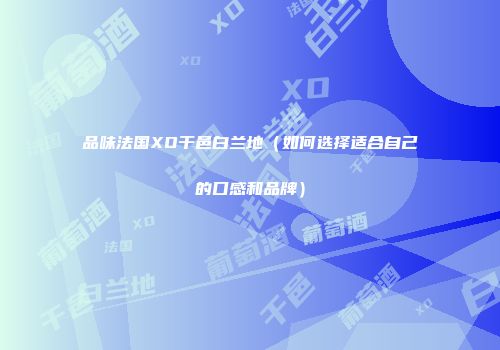 品味法国XO干邑白兰地（如何选择适合自己的口感和品牌）