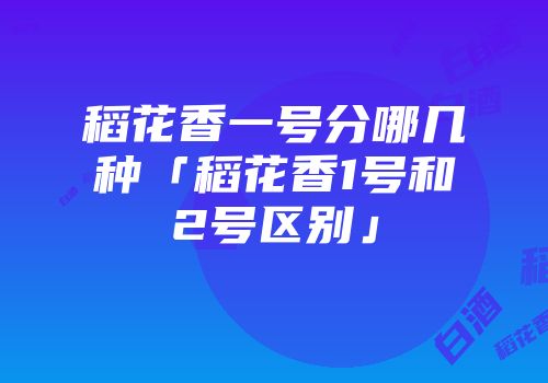 稻花香一号分哪几种「稻花香1号和2号区别」