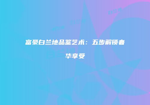 富豪白兰地品鉴艺术：五步解锁奢华享受