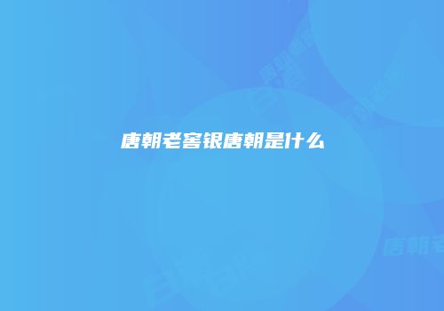 唐朝老窖银唐朝是什么