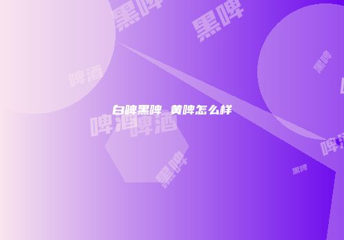 白啤黑啤 黄啤怎么样