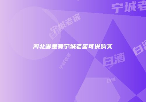 河北哪里有宁城老窖可供购买