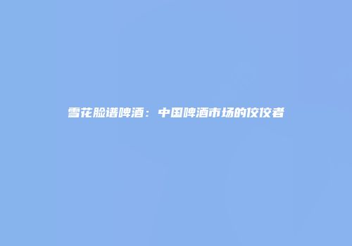 雪花脸谱啤酒：中国啤酒市场的佼佼者