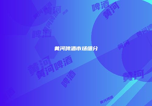 黄河啤酒市场细分