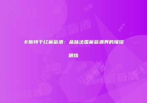卡斯特干红葡萄酒：品味法国葡萄酒界的璀璨明珠