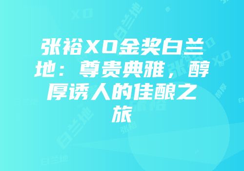 张裕XO金奖白兰地：尊贵典雅，醇厚诱人的佳酿之旅