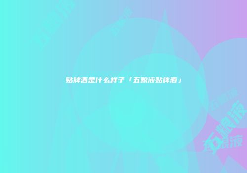 贴牌酒是什么样子「五粮液贴牌酒」