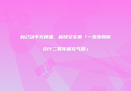 自己动手充啤酒，省钱又实惠「一步步教你DIY二氧化碳充气器」