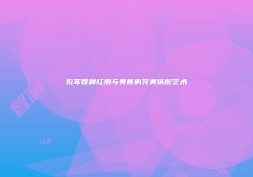 拉菲智利红酒与美食的完美搭配艺术