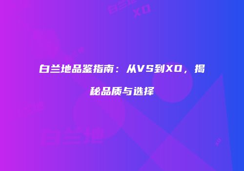 白兰地品鉴指南：从VS到XO，揭秘品质与选择
