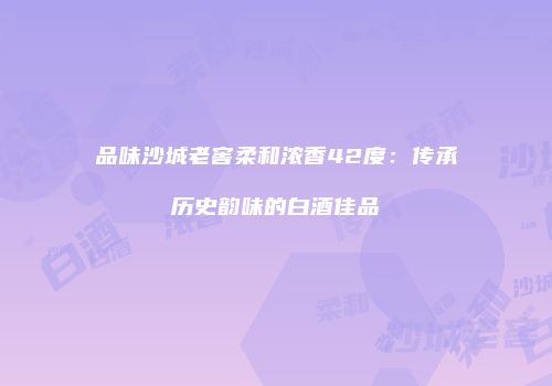 品味沙城老窖柔和浓香42度：传承历史韵味的白酒佳品