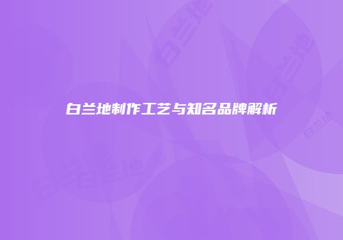 白兰地制作工艺与知名品牌解析