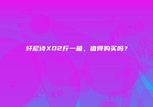 轩尼诗XO2斤一箱，值得购买吗？