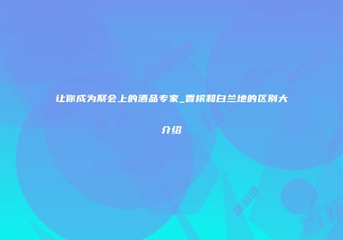 让你成为聚会上的酒品专家_香槟和白兰地的区别大介绍