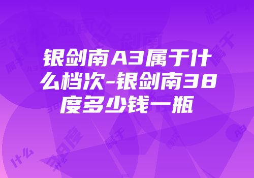 银剑南A3属于什么档次-银剑南38度多少钱一瓶
