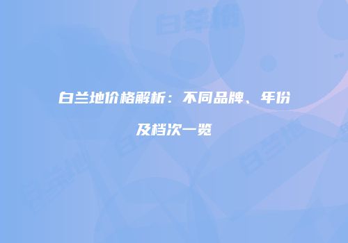 白兰地价格解析：不同品牌、年份及档次一览